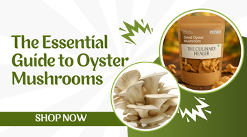 The Essential Guide to Oyster Mushrooms