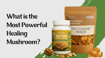 mushroom suppliers in india