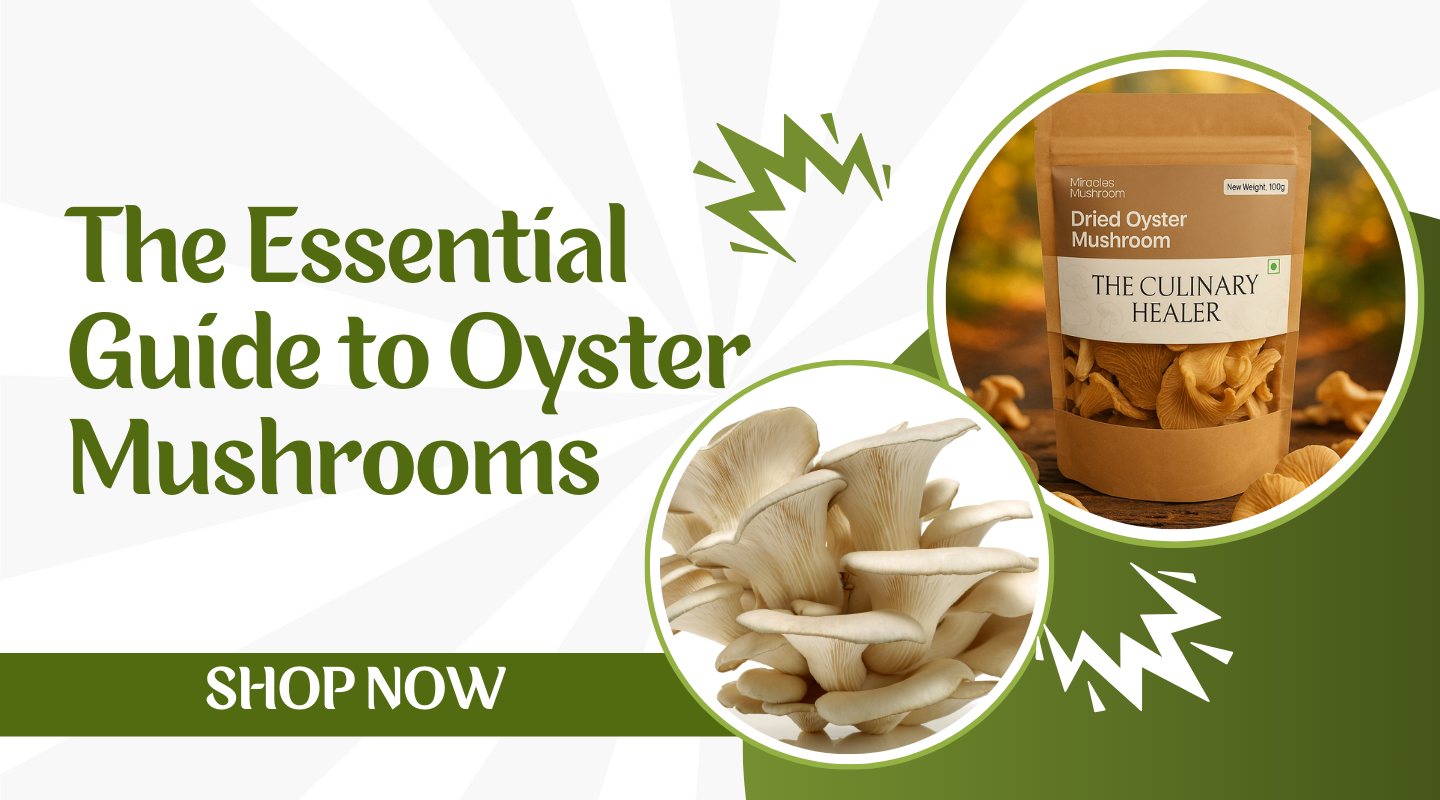 The Essential Guide to Oyster Mushrooms