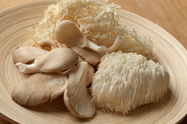 The Incredible Benefits of Lion’s Mane Mushroom: Nature’s Brain Booster