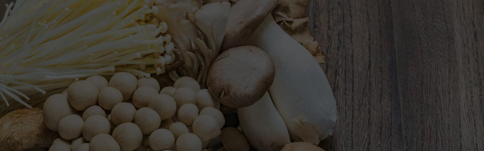slider image 1621243260e1af0c20-0