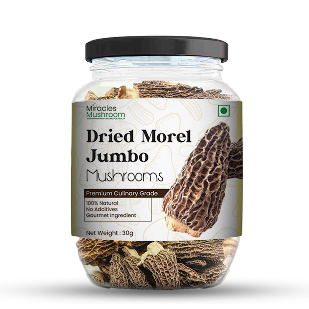 Dried Jumbo Morel (Gucchi) Mushroom